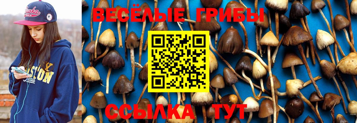Бахчисарай  Галлюциногенные грибы Magic Shrooms  Вход с VPN 